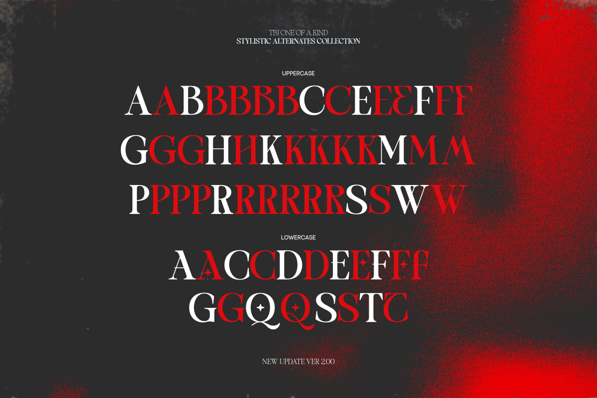 TBJ One Of A Kind Serif Font Family, a Serif Font by Taboja Studio (Photo 19 of 21)