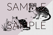 Australian Animals SVG Clipart, an Animal Illustration by Pawcasso's Portraits (Thumbnail 3 of 8)