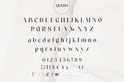 Mellida || Modern Serif Font, a Serif Font by BrandSemut (Thumbnail 5 of 5)