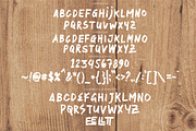 Sertter - Handwritten Brush, a Handwritten Font by tebaltipislab (Thumbnail 6 of 7)