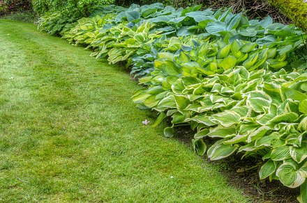 Landscaped Garden Scene With Bench preview 6