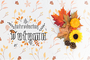 Autumn | Fall