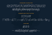 Patternly | Monoline Script, a Script Font by Lemonthe (Thumbnail 7 of 9)