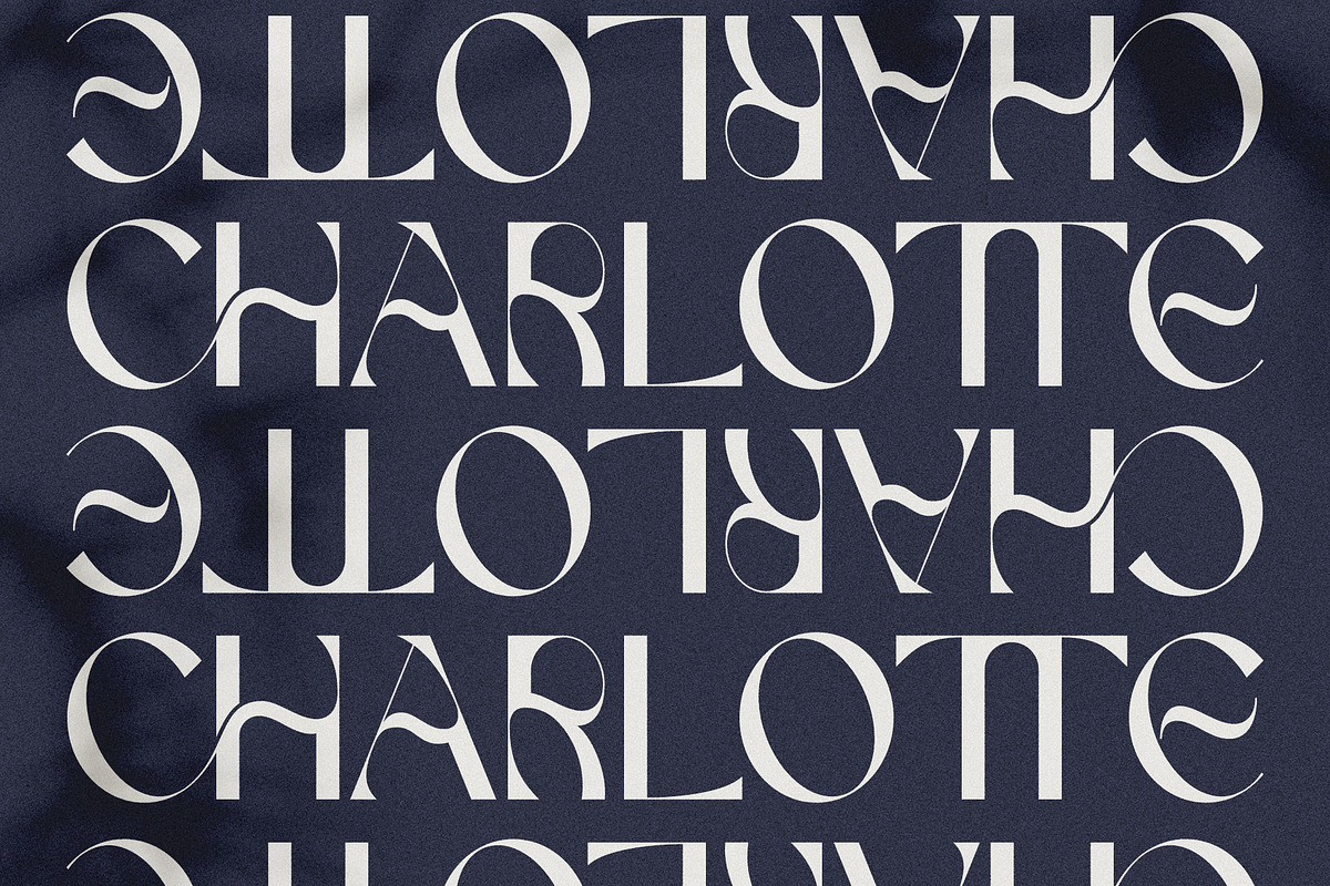 FRENCH CHATEAUX - Chic Display Font, a Sans Serif Font by SilverStag Type Foundry (Photo 12 of 22)