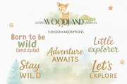 Woodland Animals Watercolor, an Animal Illustration by Ana-Sakuta (Thumbnail 6 of 10)
