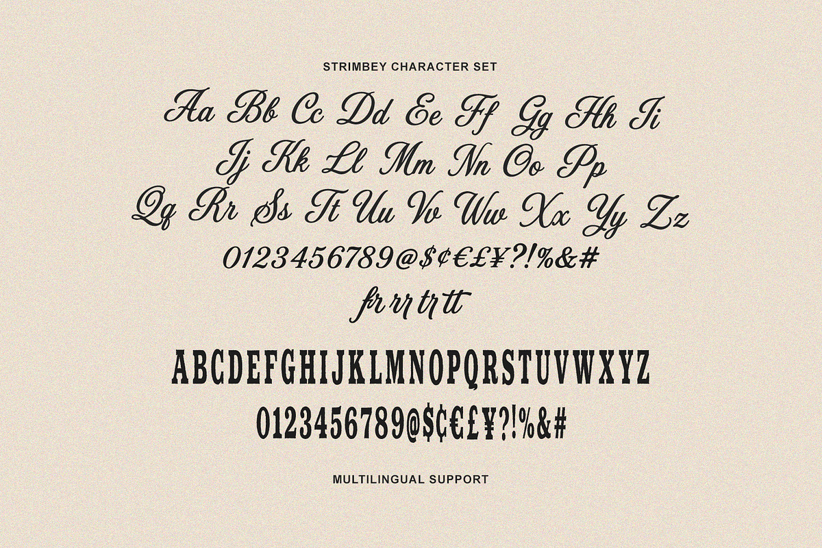 Strimbey Retro Serif Script Font Duo, a Script Font by Maulana Creative (Photo 7 of 7)