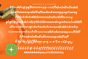 Starfall Nights New Modern Handbrush, a Script Font by stylishtype.co (Thumbnail 19 of 20)