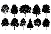 Woodland & Forest Tree Silhouettes B, an Illustration by jahid234 (Thumbnail 29 of 41)
