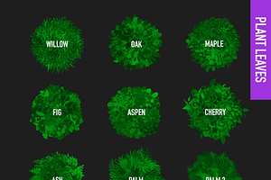 80 FOLIAGE BRUSHES FOR PROCREATE 5