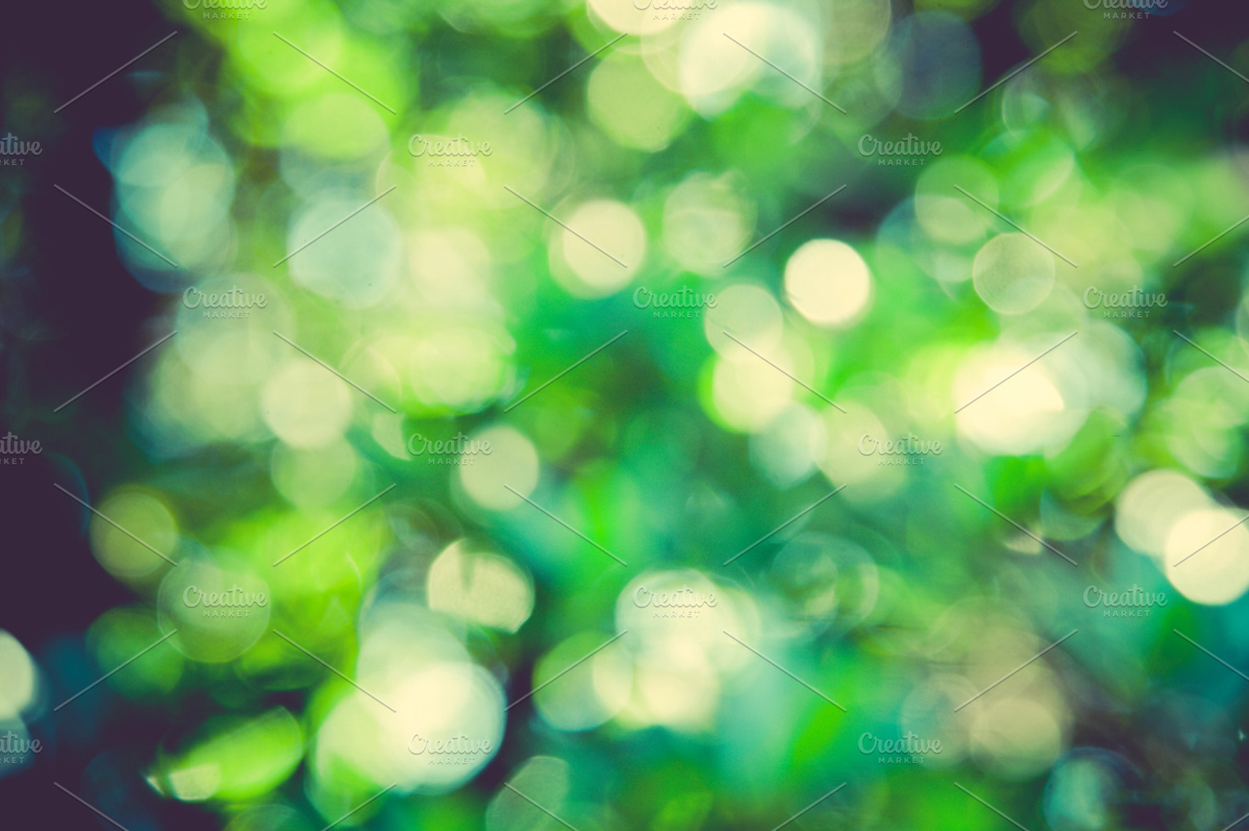 Iseeyouphoto forestbokeh 3 featuring forest, trees, and abstract