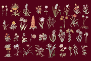 Hortus Vintage Flowers Cliparts, a Decorative Illustration by Lilithcollageart (Thumbnail 6 of 12)