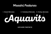 Maestri, a Font by Fenotype (Thumbnail 5 of 7)