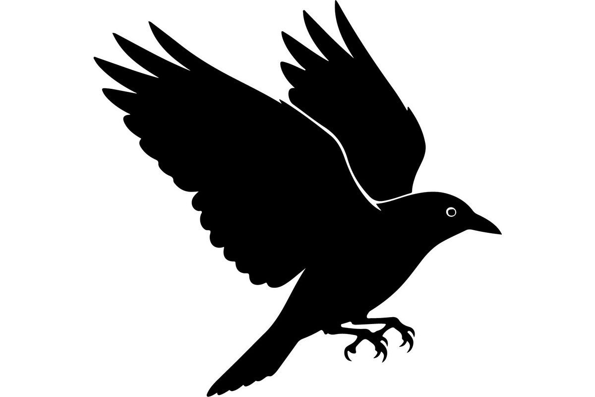 Bird Silhouettes Flying Sideways, an Animal Illustration by Designer_Momina (Photo 15 of 21)