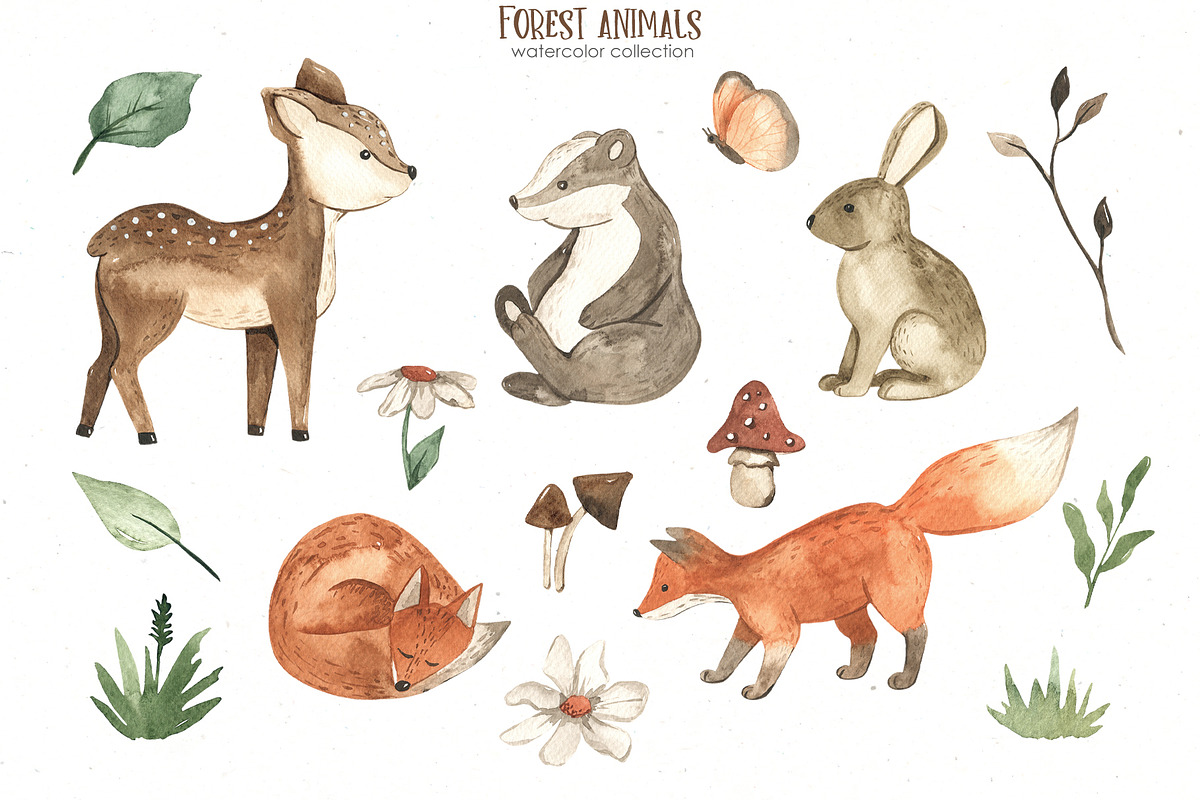 Forest animals watercolor, an Animal Illustration by Marina Ermakova (Photo 3 of 13)