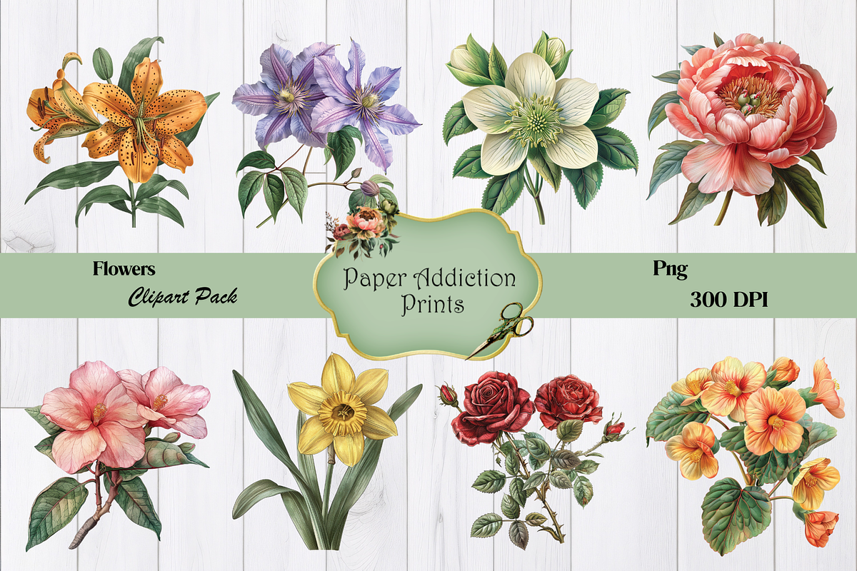 70 Flower Clipart Images, a Decorative Illustration by Paper Addiction Prints (Photo 6 of 10)