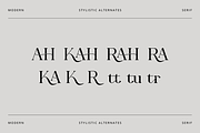 Tarahon - Business Font, a Serif Font by RockboyStd (Thumbnail 11 of 12)