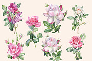 Watercolor roses, an Illustration by My art shop (Thumbnail 2 of 2)