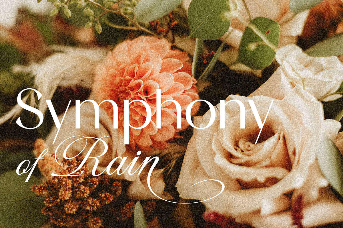 Lanson Font Family, a Sans Serif Font by Larin Type Co. (Photo 7 of 15)