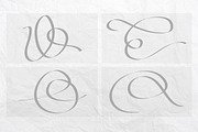 Vector Flourishes, a Decorative Illustration by Little Pixel Shop (Thumbnail 3 of 5)
