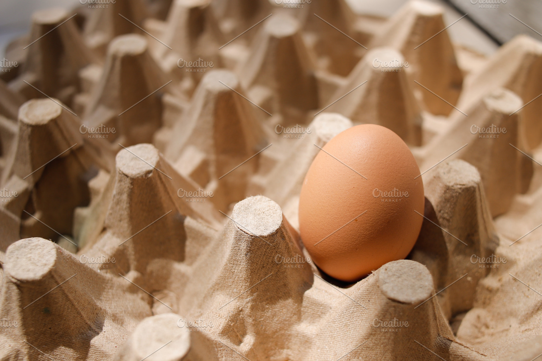 Fresh organic panel eggs on sackclot, a Food & Drink Photo by bastera