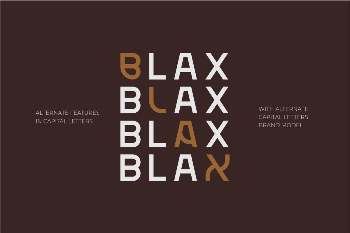 Blax - Sans Serif Alternate Font, a Sans Serif Font by suhadidesign (Photo 2 of 20)