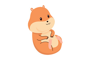 Cartoon hamster. Fluffy domestic pet, an Animal Illustration by the8monkey