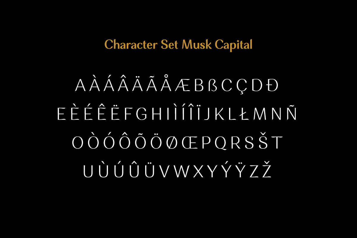 Musk Elegant Font Duo, a Sans Serif Font by Eko Bimantara (Photo 8 of 11)