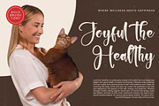 Chinstrap Stucky Bold Brush Font, a Script Font by stylishtype.co (Thumbnail 7 of 20)
