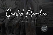 Smalltown handwritten font, a Script Font by alphadesign (Thumbnail 5 of 8)