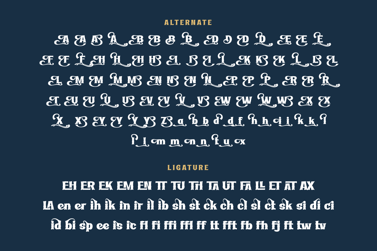 Ridasbin | Serif Classic Modernism, a Serif Font by twinstd (Photo 12 of 13)