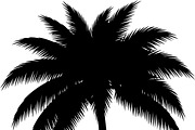 Palm Tree SVG Bundle, an Illustration by Creativeshirt (Thumbnail 6 of 7)
