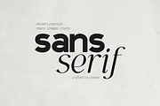 Gorga Font Duo – Modern Sans & Serif, a Serif Font by VP Fonts (Thumbnail 2 of 18)