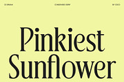 CS Bruna – Contemporary Font, a Serif Font by Craft Supply Co. (Thumbnail 2 of 8)