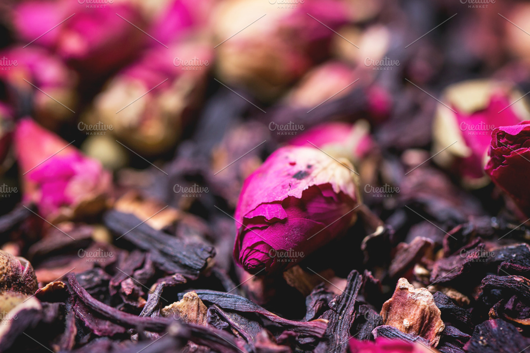 Tea roses and dried hibiscus flower stock photo containing rose and tea