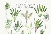 Tropical Boho Garden Plants & Floral, a Decorative Illustration by Catch the Dream Art (Thumbnail 4 of 10)