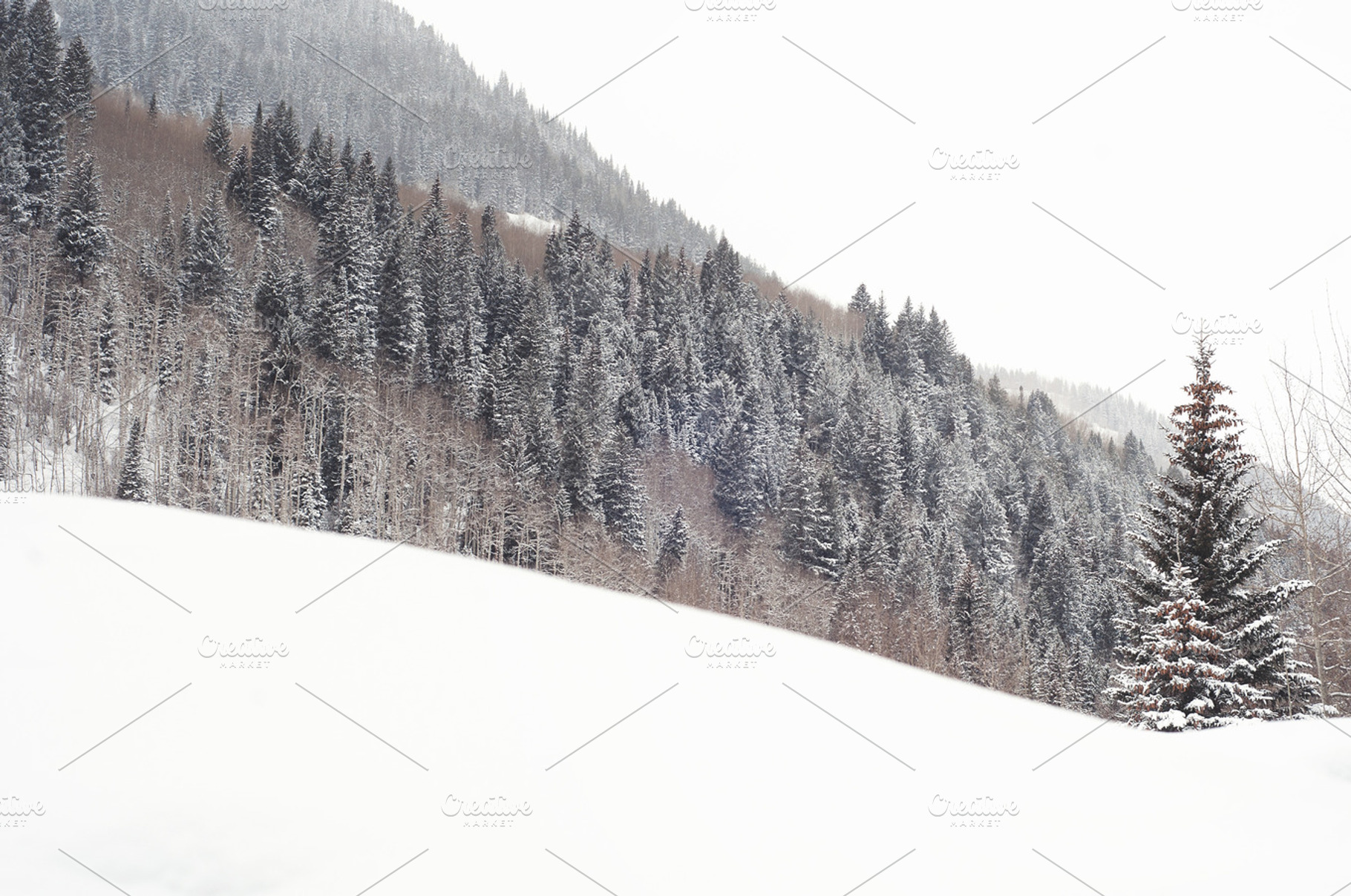 Winter Scene in Vail, a Nature Photo by Solefield