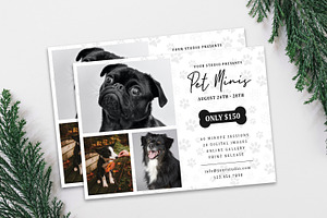 PET Mini Session Template