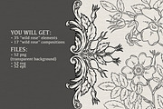 WILD ROSE lineart collection, a Decorative Illustration by heyXeni (Thumbnail 2 of 7)