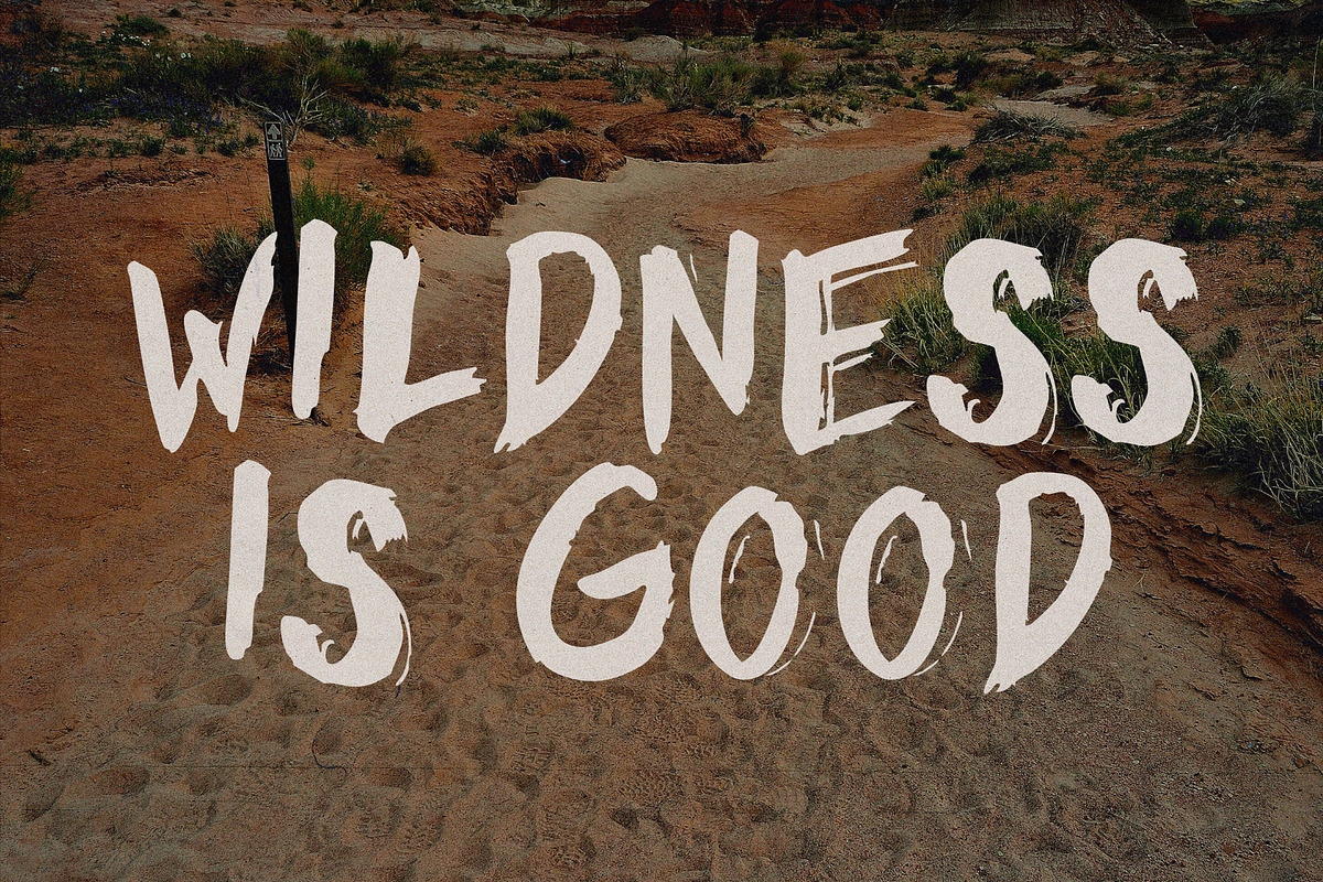 Brush Font. WILD Hand drawn Typeface, a Font by Mark Skitsky (Photo 3 of 6)