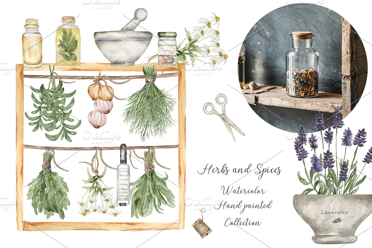 Watercolor Herbs and Spices, a Food Illustration by MayaNavits (Photo 2 of 13)