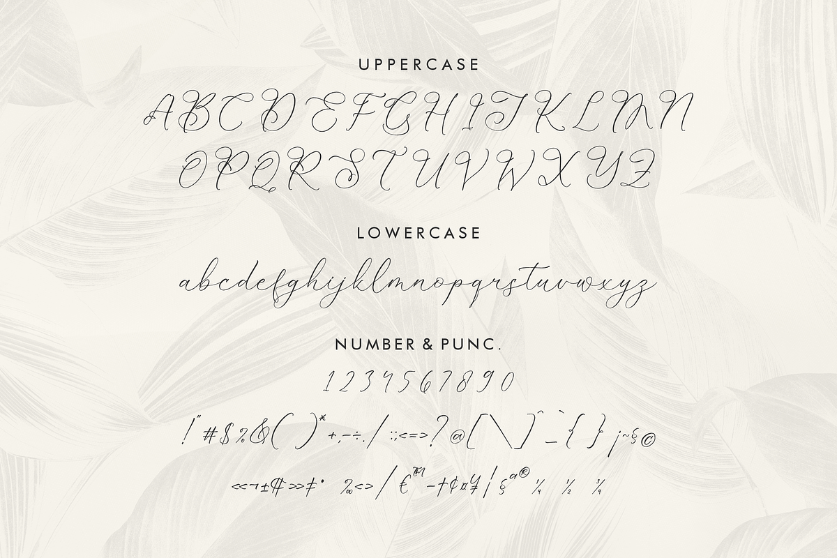 Kelarhisa Sokrate Beauty Script, a Script Font by Storytype Studio (Photo 13 of 15)