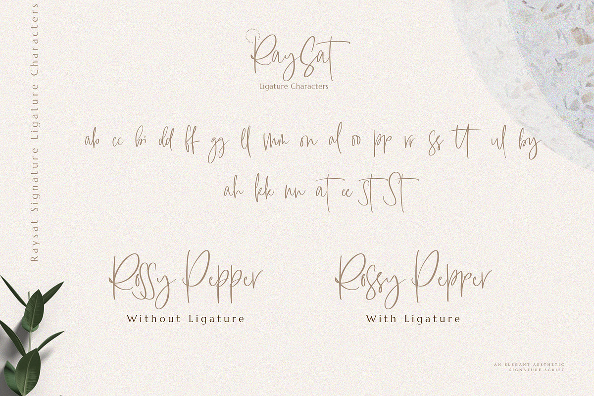 Raysat - Elegant Signature, a Script Font by Masanis (Photo 12 of 19)