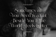 Beauty Sind Elegant Serif Font, a Serif Font by Graphicxell (Thumbnail 5 of 8)