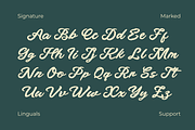 Fedley - Modern Calligraphy Font, a Script Font by MaikoHatta (Thumbnail 3 of 8)