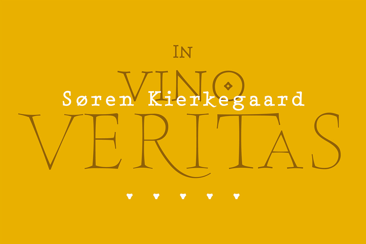 Sursum, a Serif Font by TeGeType foundry (Photo 2 of 5)