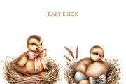 Watercolor Baby Duck ClipArt PNG, an Animal Illustration by VM PARTYS  BY TAIRUMA (Thumbnail 5 of 10)