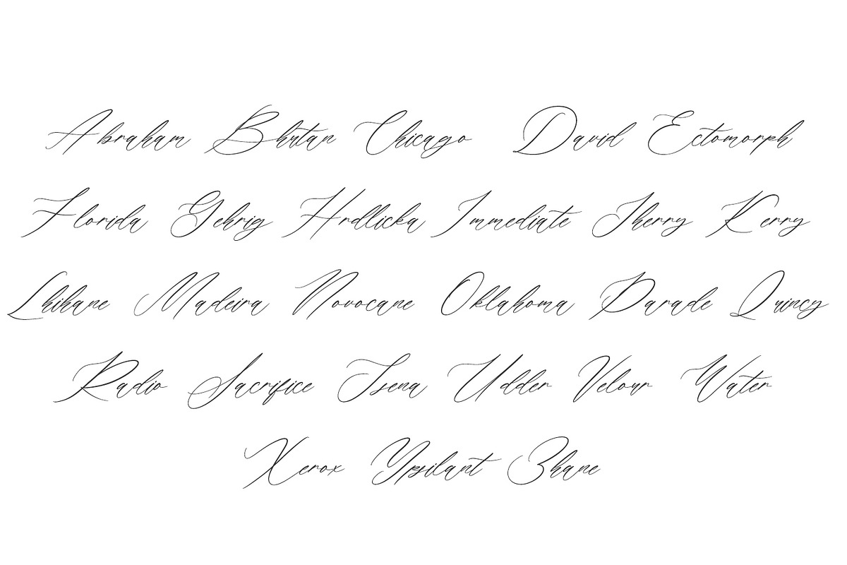 Soirees - Calligraphy Font, a Script Font by Arendxstudio (Photo 6 of 7)