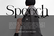 Resilient Shifting - Elegant Font, a Serif Font by 177Studio (Thumbnail 5 of 8)