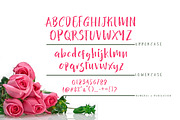 Hello Bethy, a Script Font by Olexstudio (Thumbnail 6 of 7)
