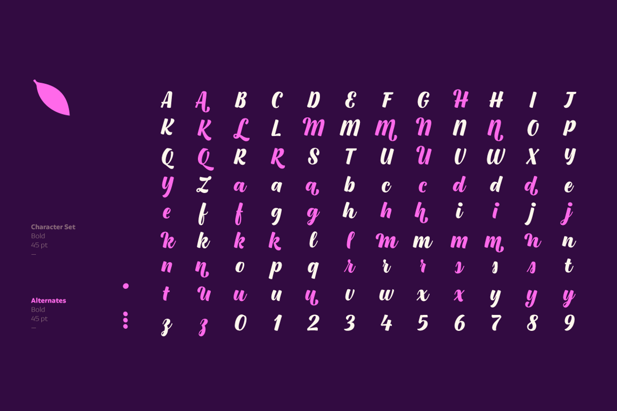 Cookery, a Script Font by Los Andes Type (Photo 10 of 10)